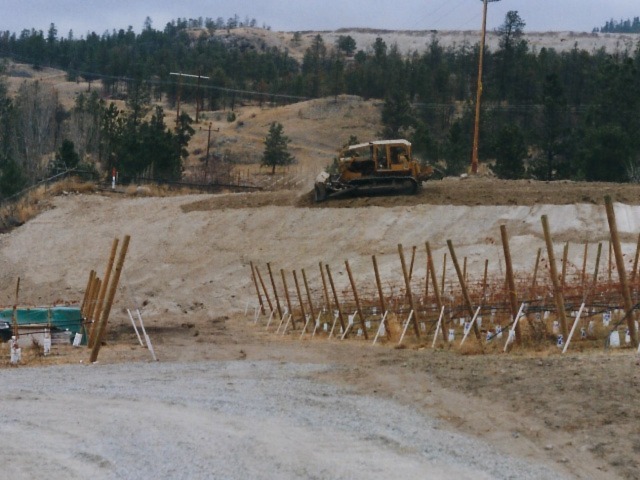 prepping the vineyard